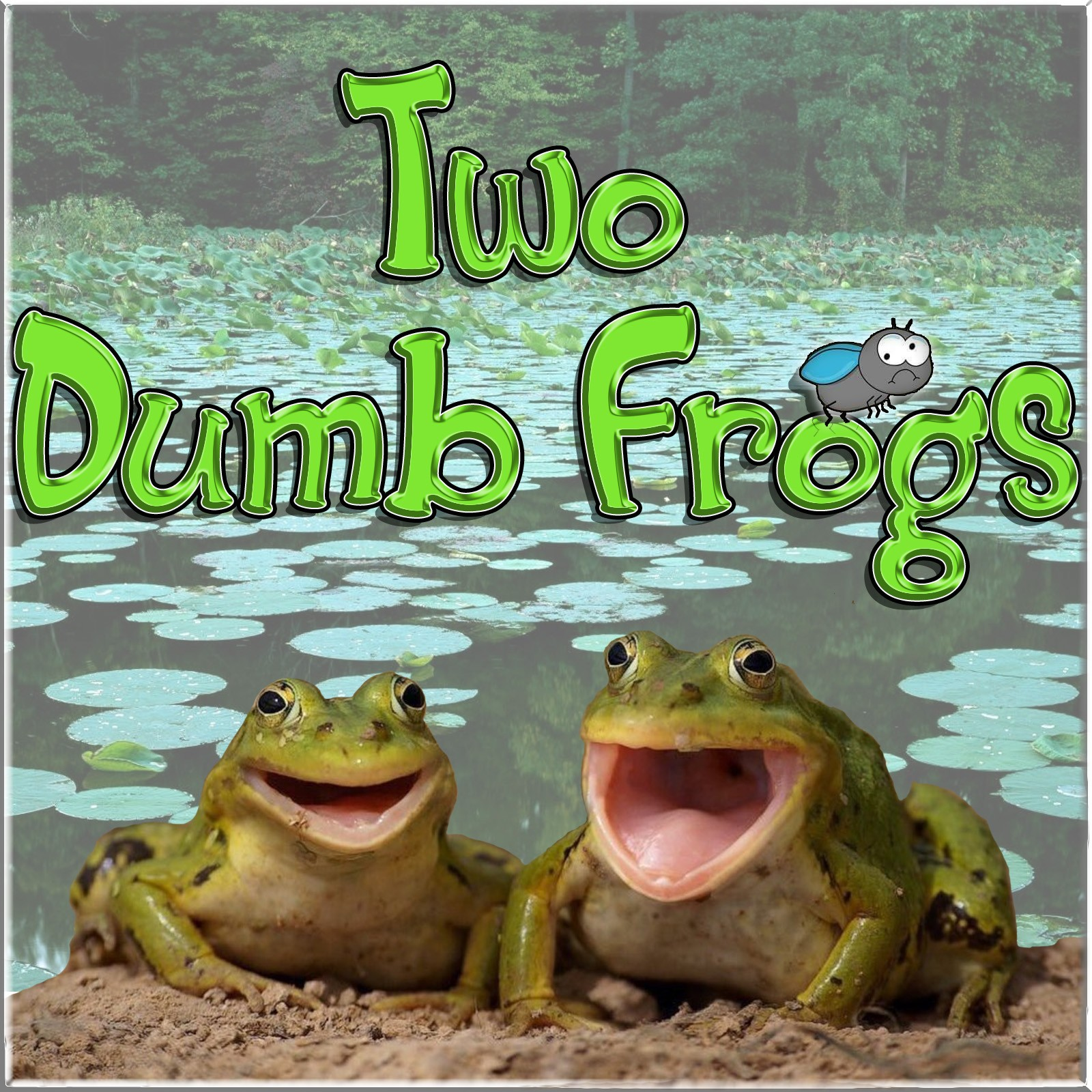 Two Dumb Frogs