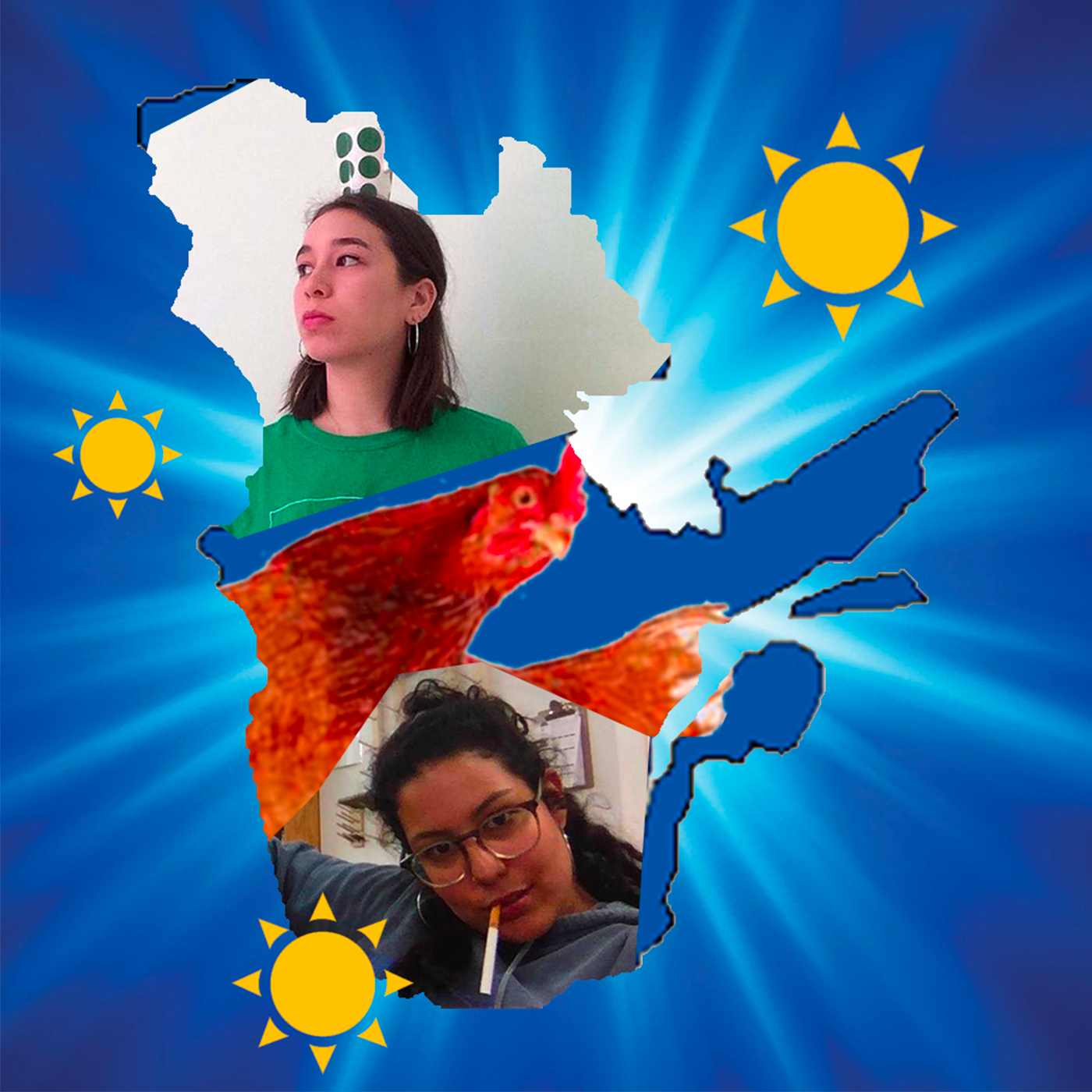 Québec solaire poulet lumière