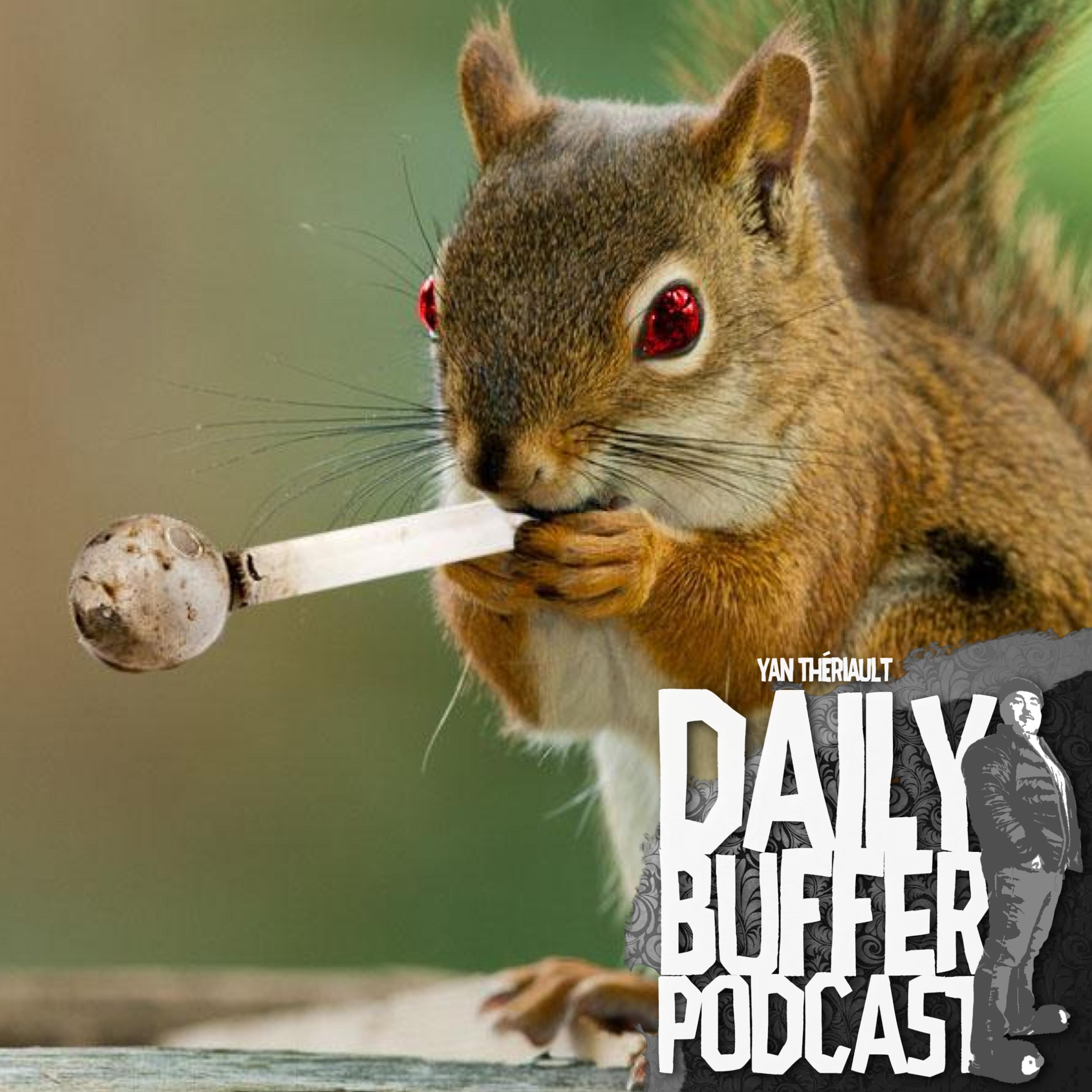 Un écureuil Crackhead - Daily Buffer Podcast - 2019 06 20