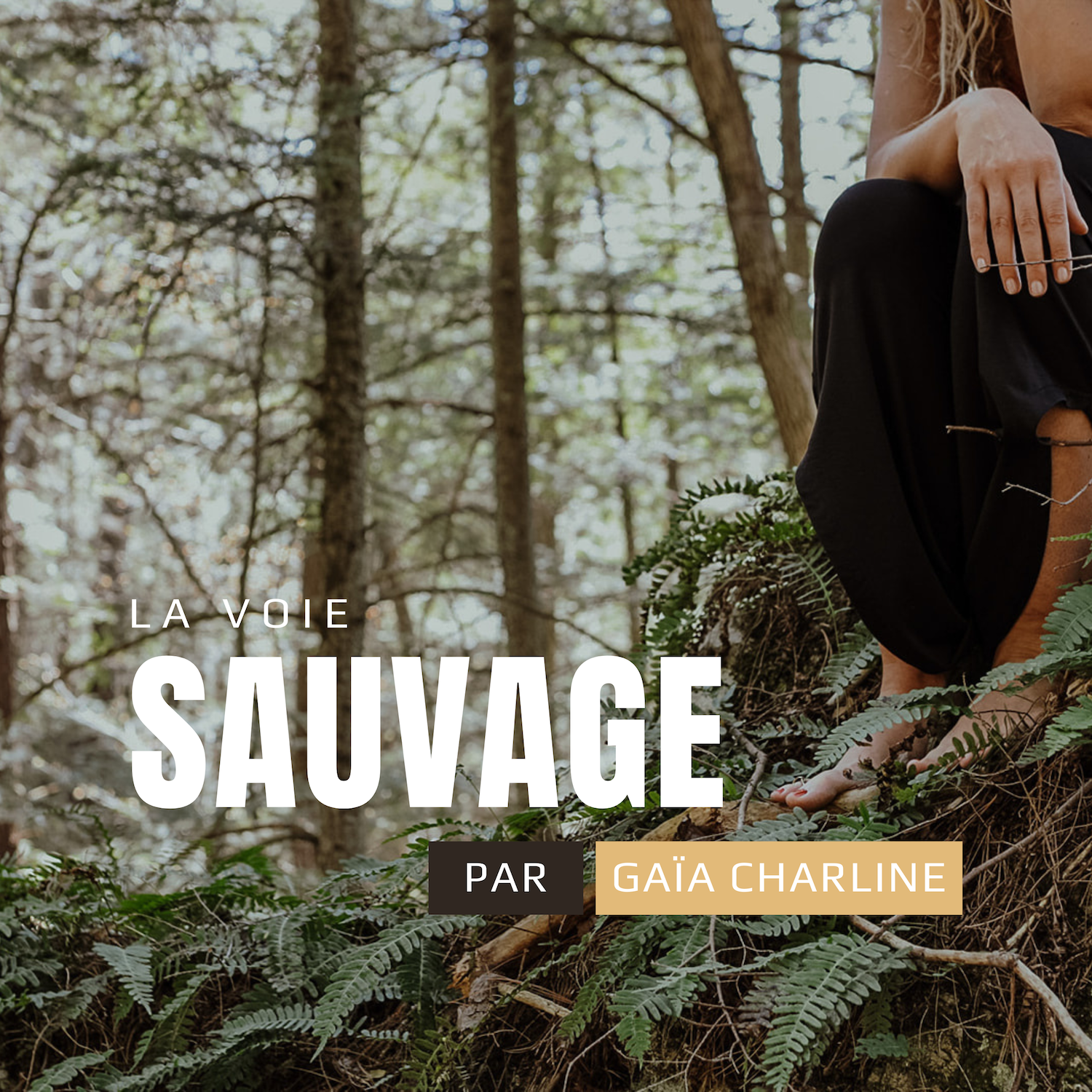 Couverture du balado La Voie Sauvage