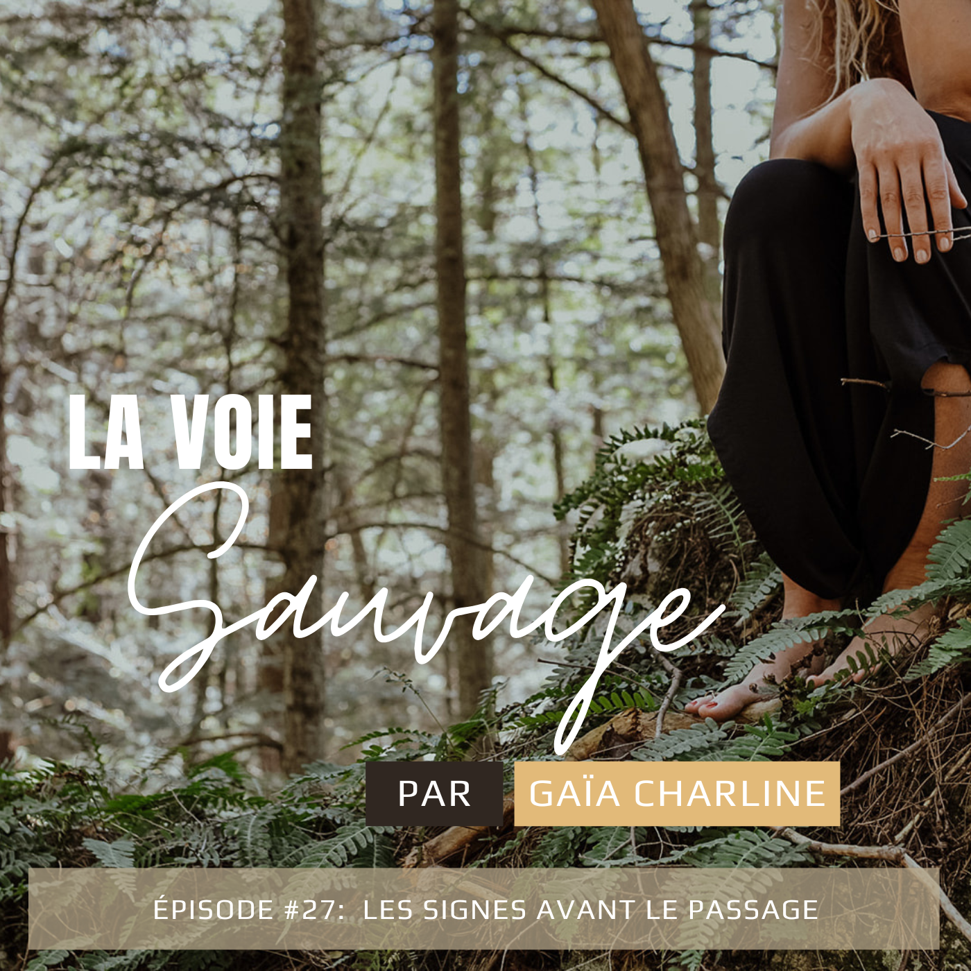 Vignette de l’épisode #27: Les signes avant les passages