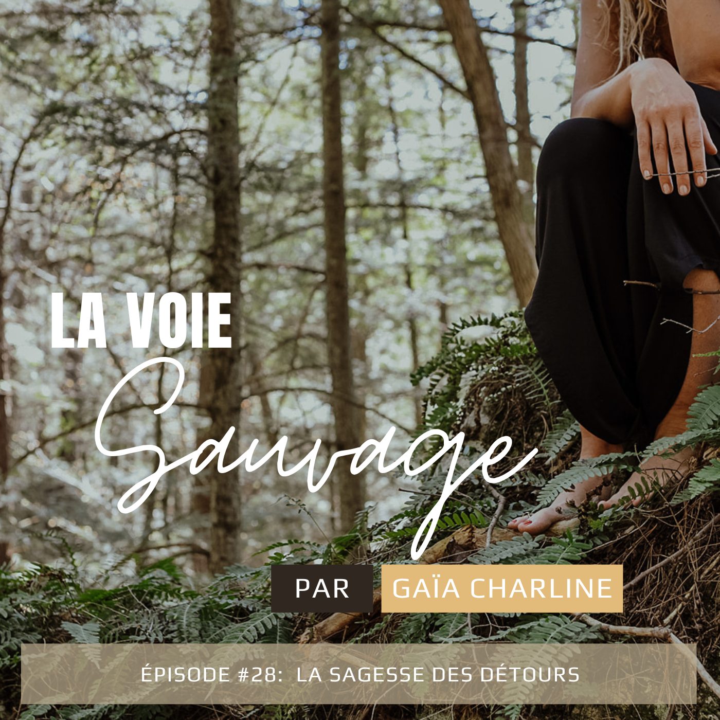 #28 La Sagesse des détours