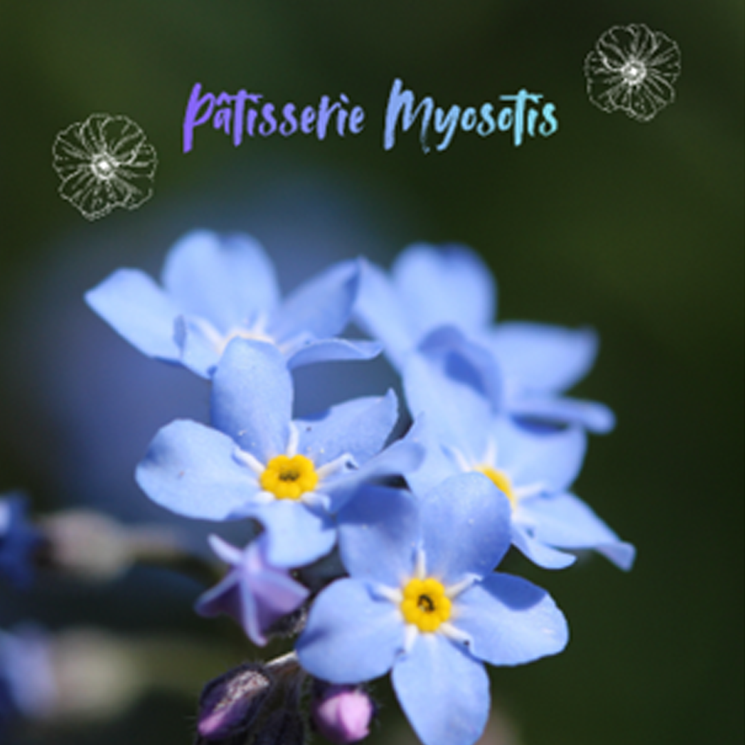 Pâtisserie Myosotis