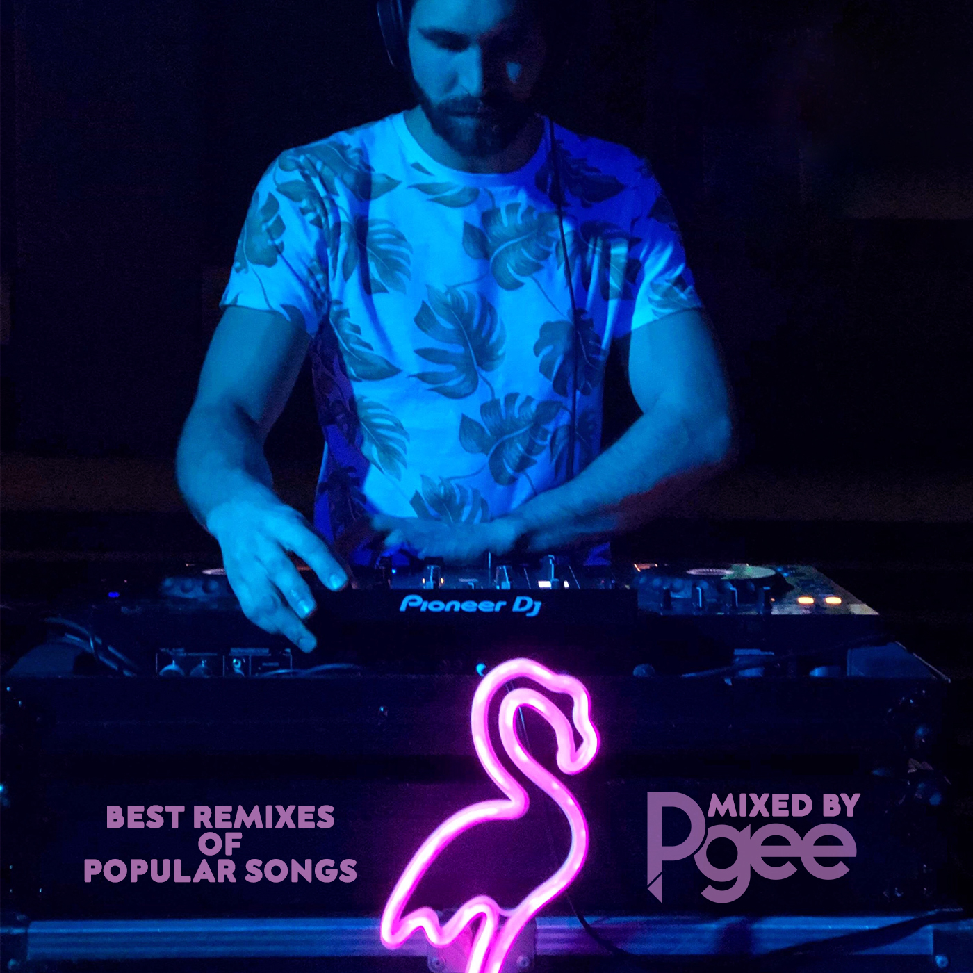 Mixed By Pgee