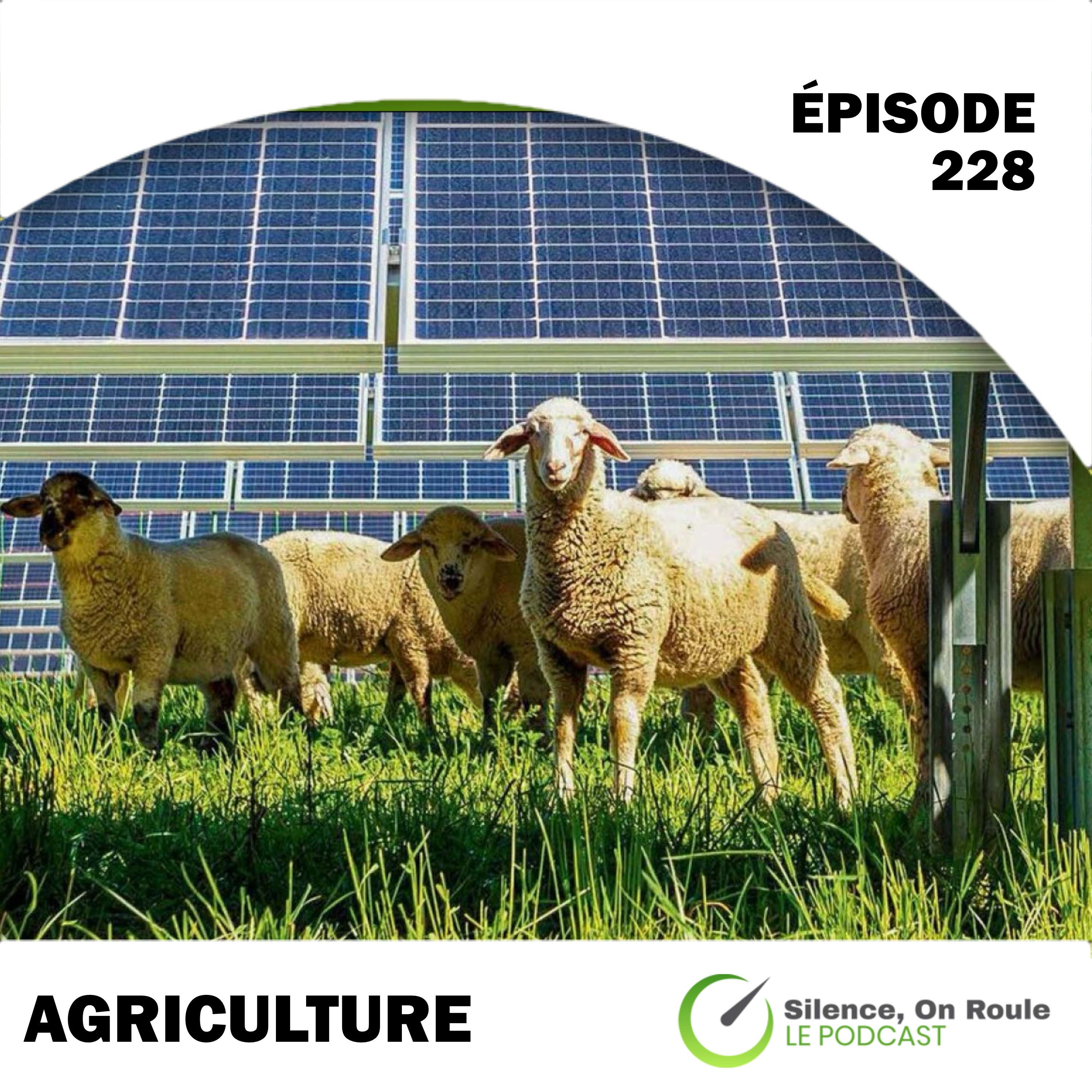 Épisode # 228 : Électrification, énergie et agriculture