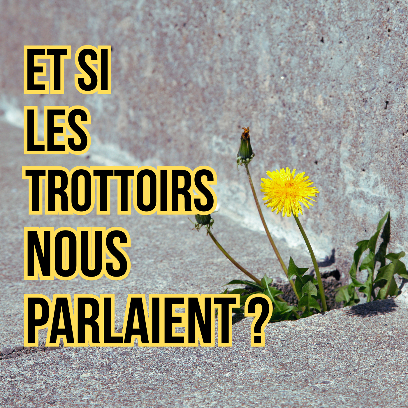 Et si les trottoirs nous parlaient ? - Ep03