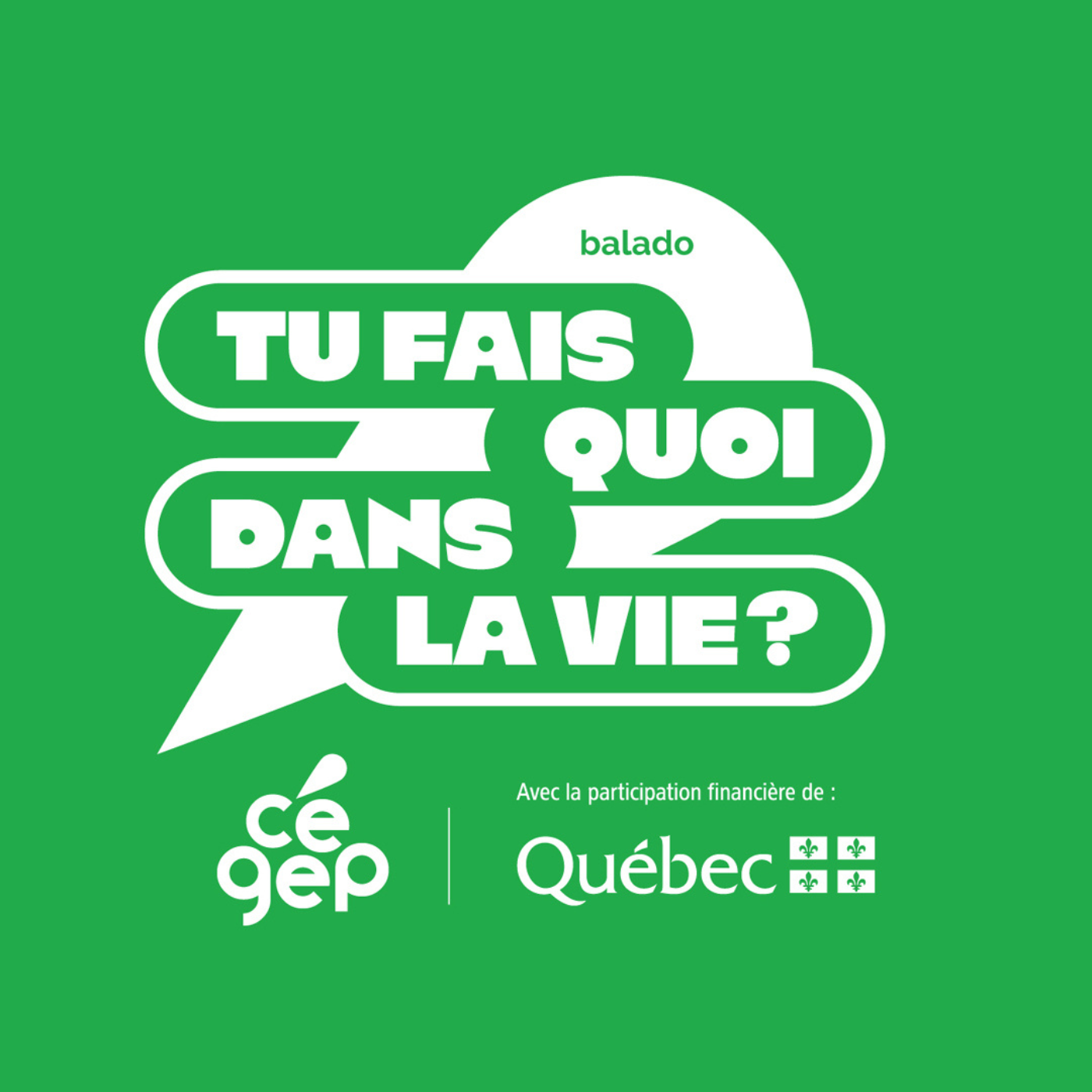 Couverture du balado Tu fais quoi dans la vie?