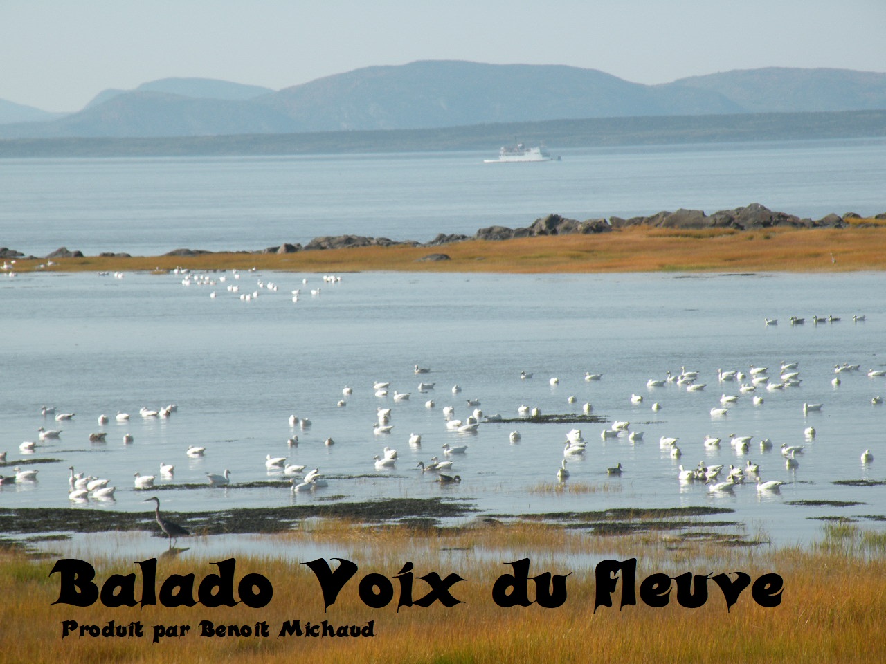 Solide ou pas